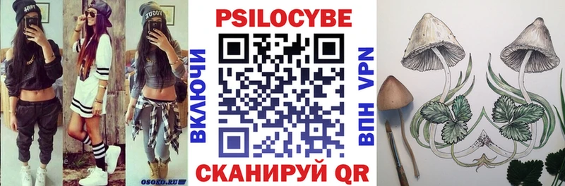 наркота  маркетплейс Telegram  Псилоцибиновые грибы GOLDEN TEACHER  Ефремов  hydra tor 